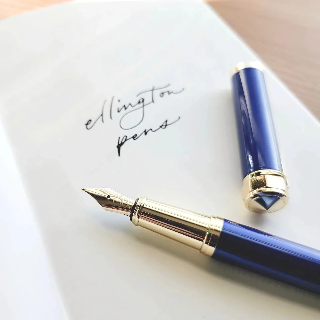 The Nautilus Fountain Pen for bundle - Image 9